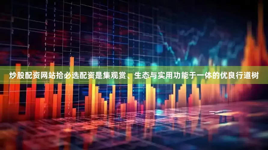 炒股配资网站拾必选配资是集观赏、生态与实用功能于一体的优良行道树