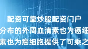 配资可靠炒股配资门户这种广泛分布的外周血清素也为癌细胞提供了可乘之机